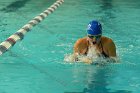 Swimming vs Bentley  Wheaton College Swimming & Diving vs Bentley College. - Photo by Keith Nordstrom : Wheaton, Swimming & Diving